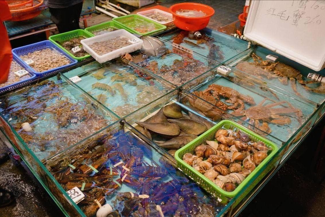 鹭岛厦门，海鲜盛宴与闽南古早味的完美碰撞！吃货打卡的隐秘角落