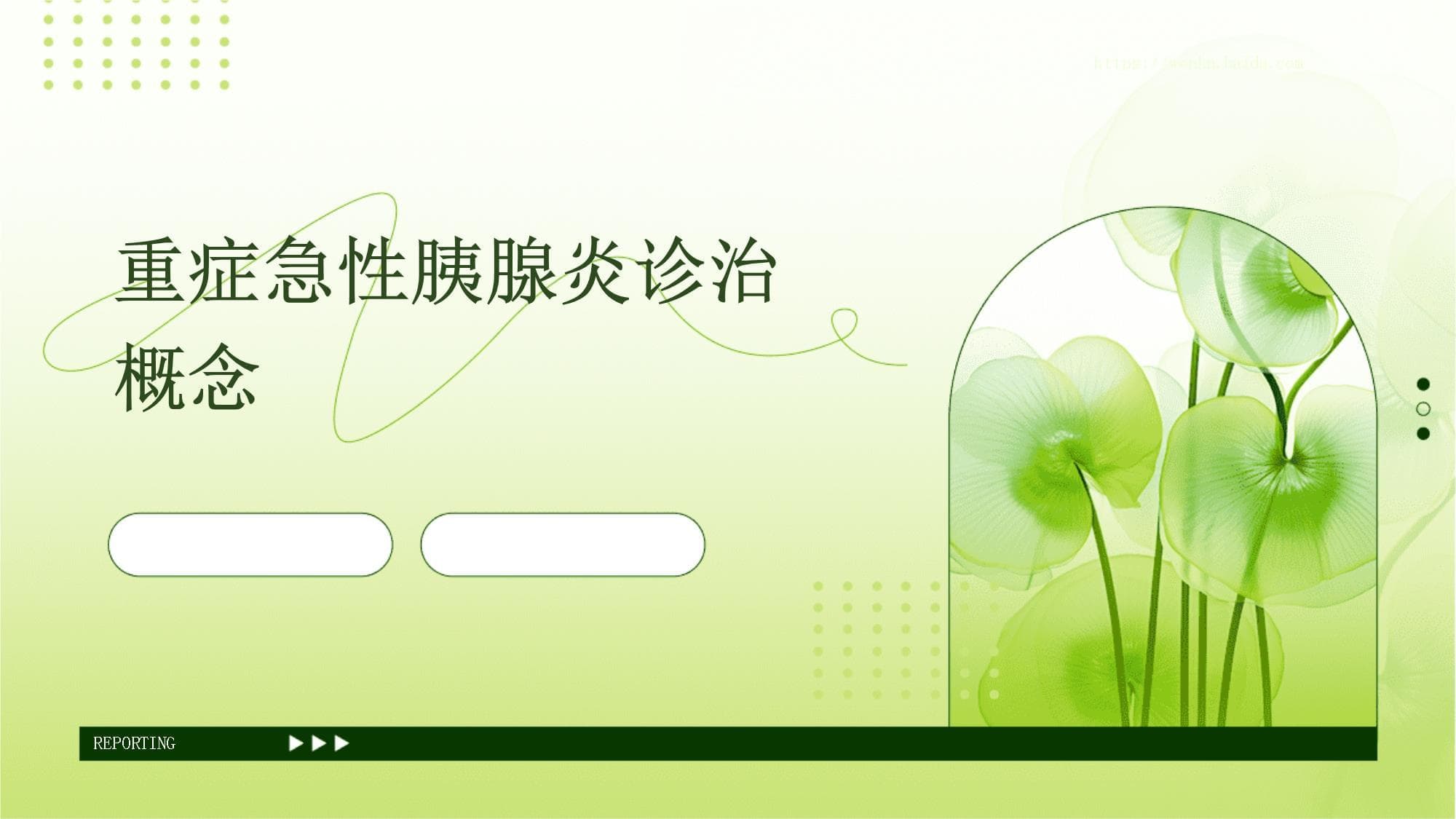 重症急性胰腺炎诊治概念