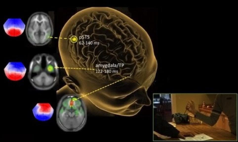 我们不知道答案的125个科学问题(93)道德的生理基础