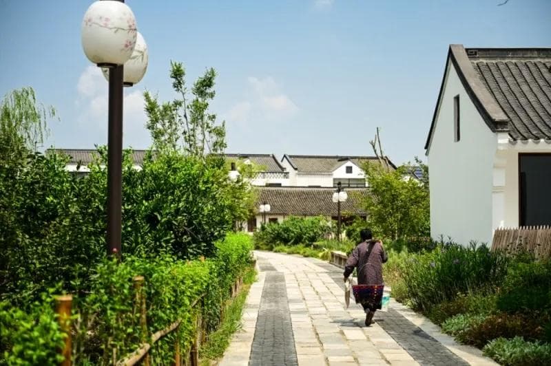北京房子和上海房子哪个贵？揭示楼市背后的驱动因素