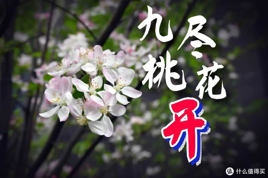 九尽桃花开，建议中老年人：牢记3件大事，为一年的健康打下基础
