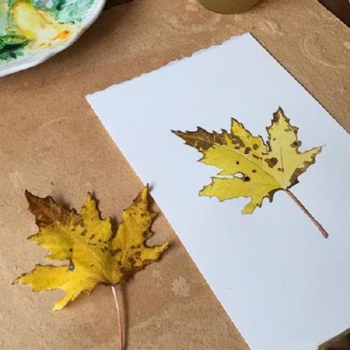 如何生动描述树叶：从颜色到形状，写出你眼中最美的秋叶！