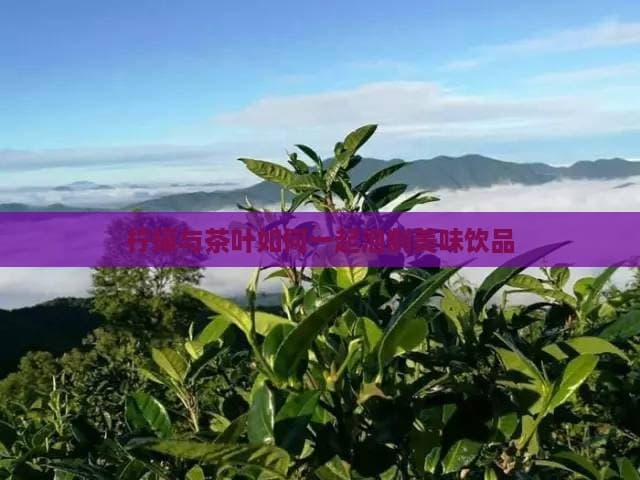 柠檬与茶叶如何一起泡制美味饮品