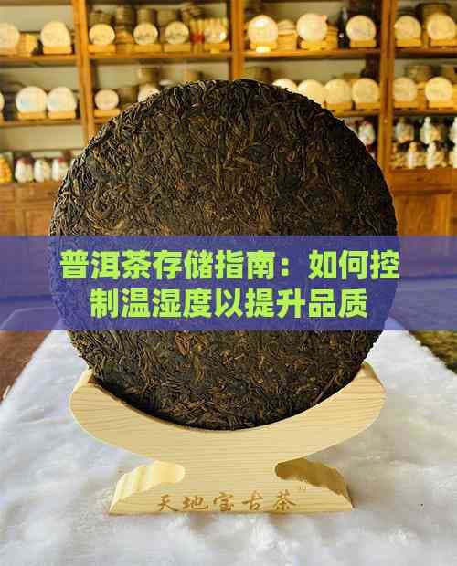 普洱茶存储指南：怎样控制温湿度以提升品质