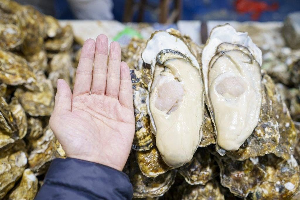 湛江景点｜11大好去处+美食+3天2夜自由行行程 香港高铁直达！