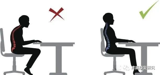 尾骨痛的相关解剖、病因及诊疗分析