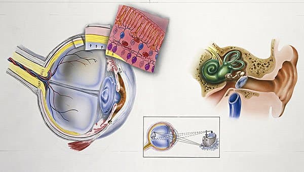 耳石症眩晕吃什么药有效