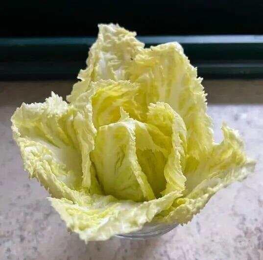 白菜心十种做法：冬季“黄金蔬菜”的美味烹饪指南