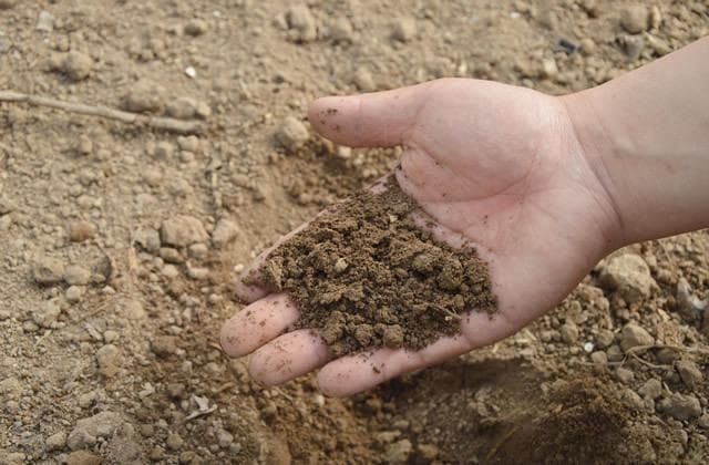 生物肥料的种类、作用机理及施用技术详解