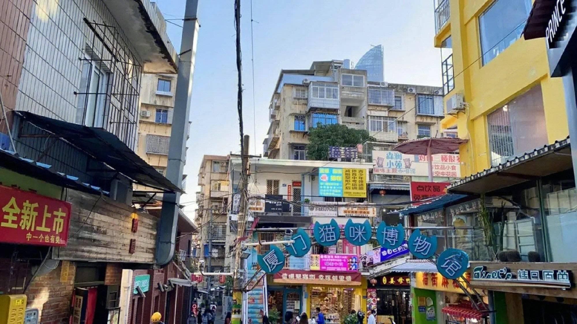 厦门周边游景点推荐,厦门八大景点是哪八大,看完就懂？