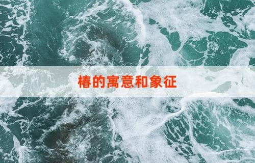 椿的寓意和象征意义探究
