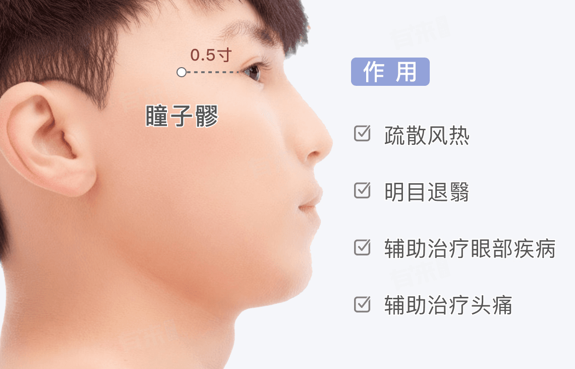 瞳子髎的准确位置和作用