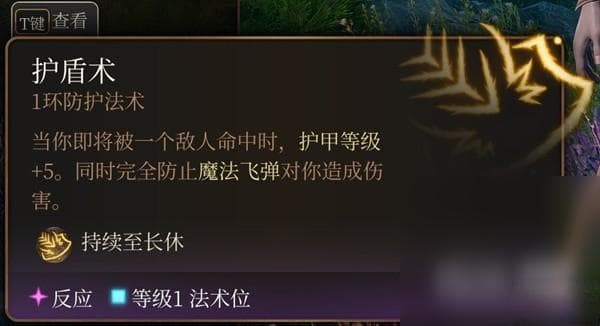 《博德之门3》实用一环法术推荐与效果详情