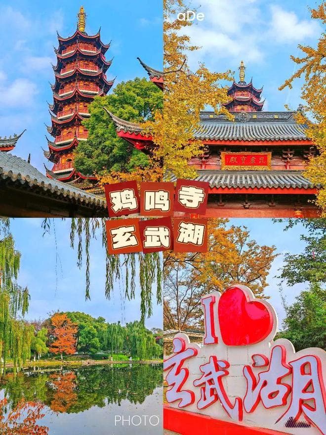 秋天的鸡鸣寺和玄武湖，真的是美哭了