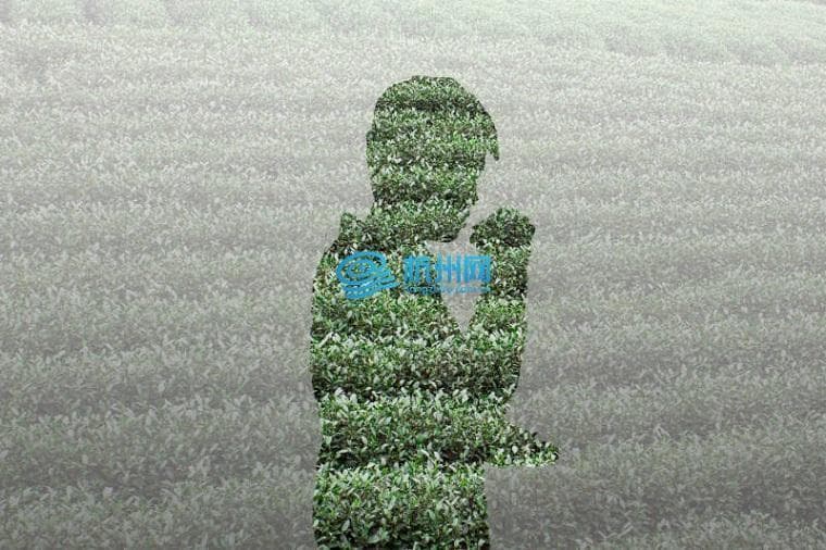 龙井茶：绿茶之王的自然与人文传奇