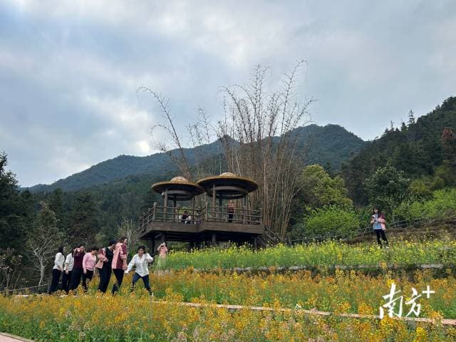 乳源东坪：打造梯田四季景观，赋能瑶乡农文旅融合发展