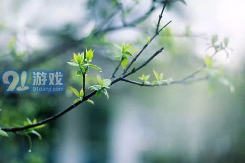 十首励志诗句：不负韶华，砥砺前行