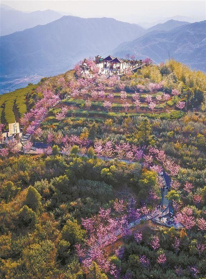 体旅融合！UTMB世界系列赛点燃同安北部山区新活力