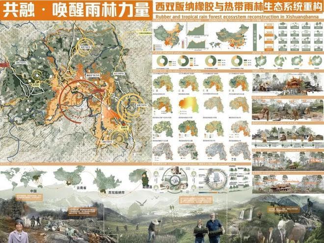 金奖作品 | 共融-唤醒雨林力量——西双版纳橡胶与热带雨林生态系统重构