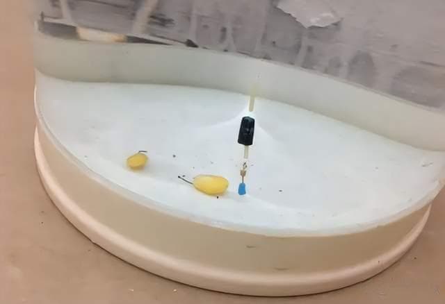 调漂技巧：浮漂线组这样搭配最精准