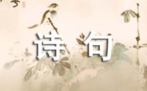 表达思念之情的诗句（精选100句）