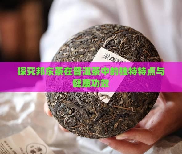 探究邦东茶在普洱茶中的独特特点与健康功效
