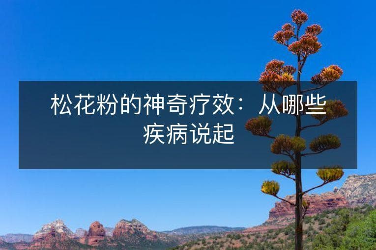 松花粉的神奇疗效：从哪些疾病说起