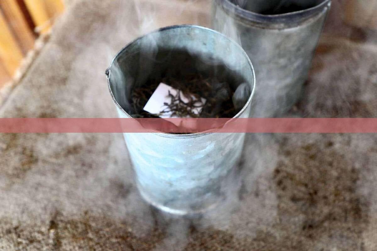 人参花与茶叶共同泡制的养生茶饮用方法及功效解析