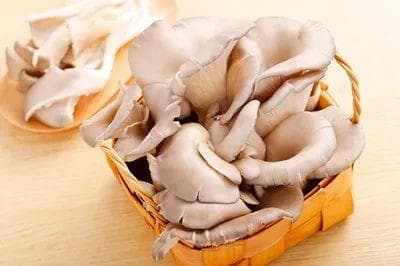 养胃生津、补益提气......不同蘑菇营养不同