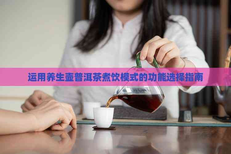 运用养生壶普洱茶煮饮模式的功能选择指南