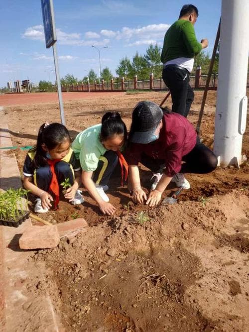 小学生课外实践指南：全面提升能力的活动清单！