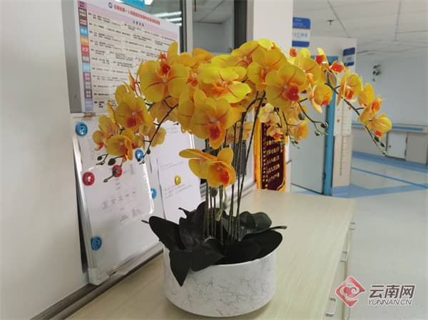 用真情提升医疗服务 云南省一院泌尿外科打造“疗愈病区”