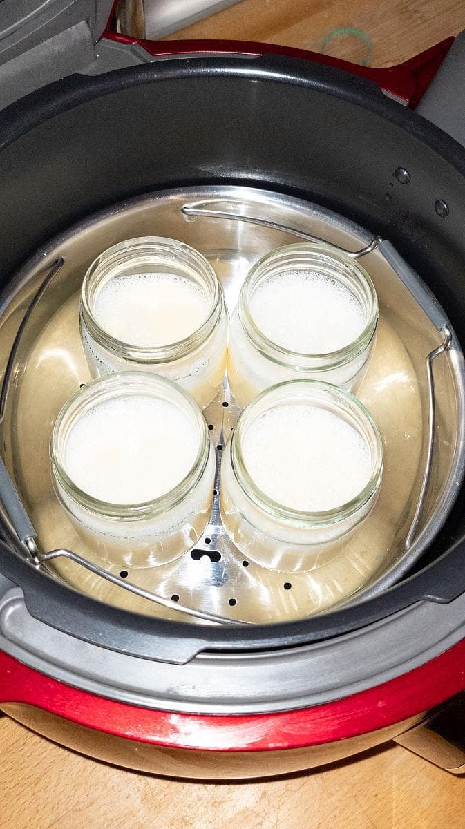在家也能做出专业级酸奶？用酸奶机揭秘制作秘籍！