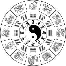 八字出生地：地理环境如何影响个人命运？