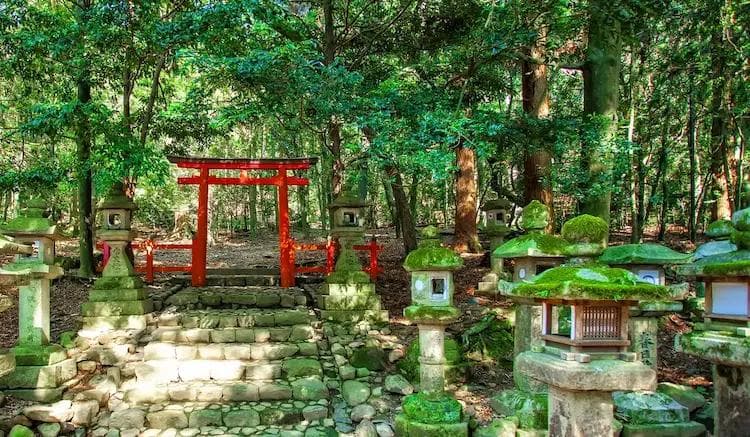 探索奈良的自然奇观：日本永恒之美之旅