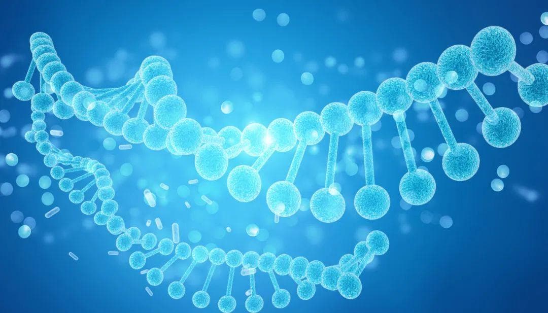 超雄综合征：从“恶魔基因”到科学认知