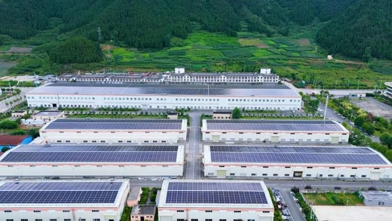 2025出海续航！贵州抹茶再次大规模出口日本