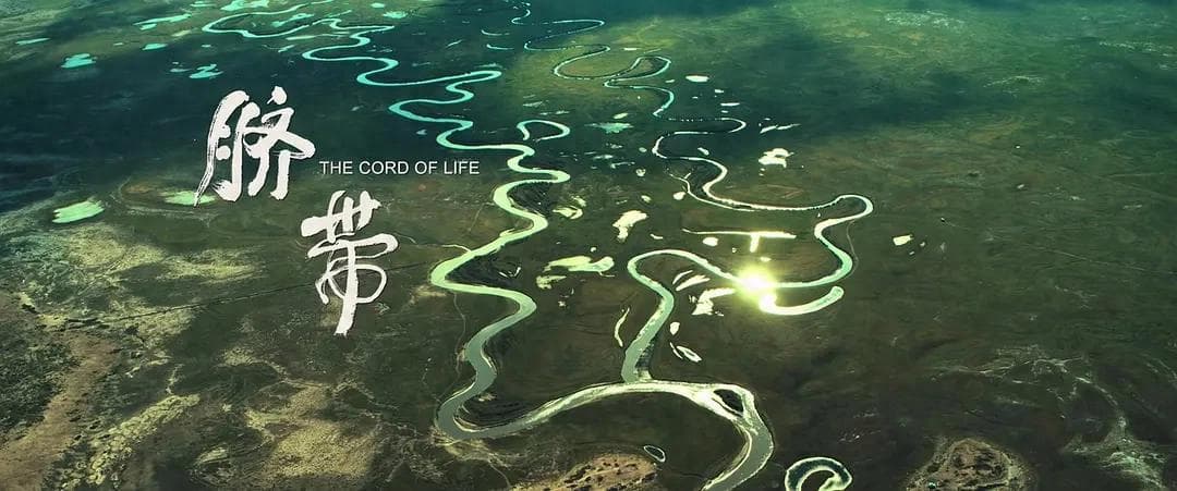 《脐带》：在生命的回溯中找寻本真与新生