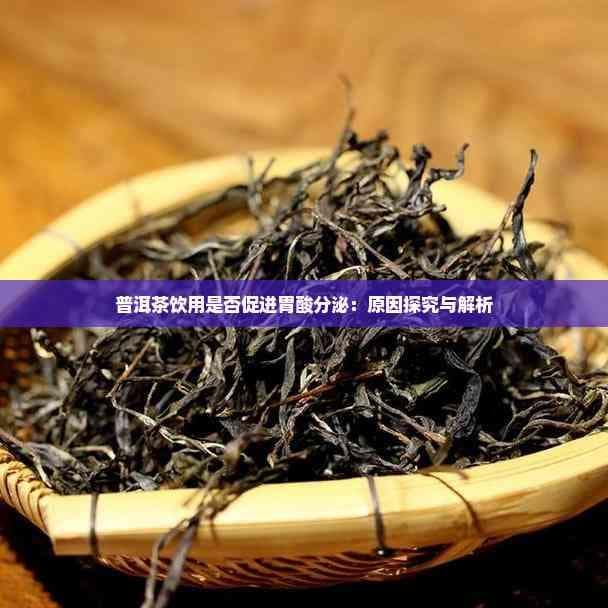 普洱茶饮用是否促进胃酸分泌：原因探究与解析