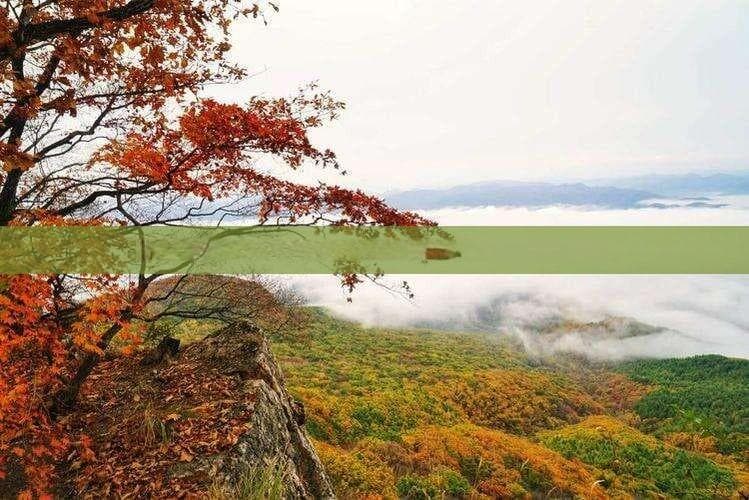 南京与贵州深度自驾游攻略：行程规划、必去景点与旅行贴士