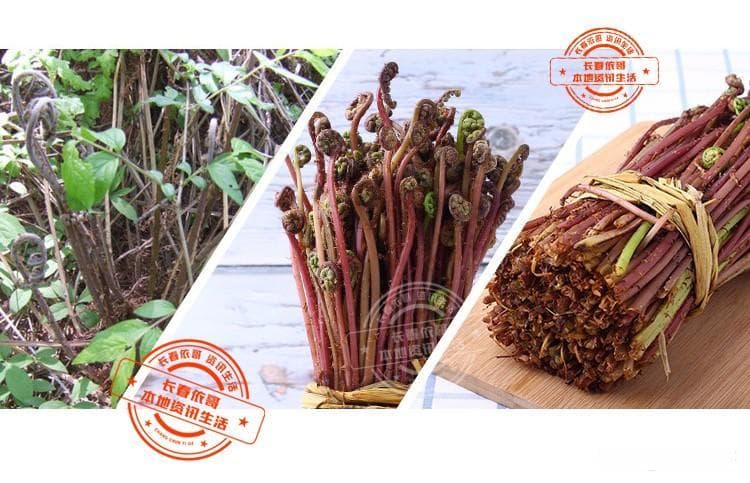长白山特产有哪些土特产？ 长白山中山野菜——猴子腿（猴腿菜）山珍美味