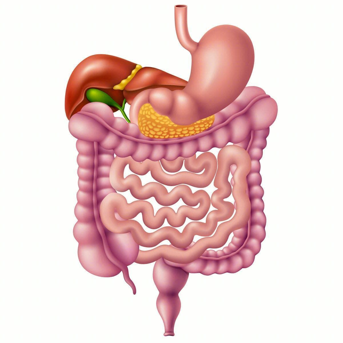 秋冬养生：科学饮食缓解胃食管反流病