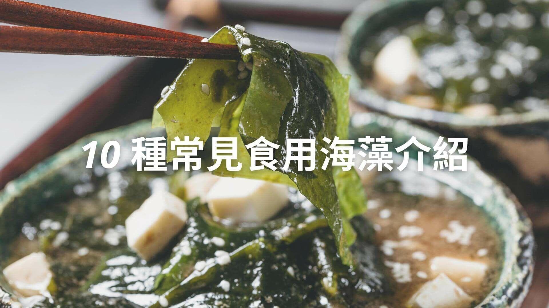 10 種常見的海藻介紹，營養滿分的海洋蔬菜，吃得更健康！