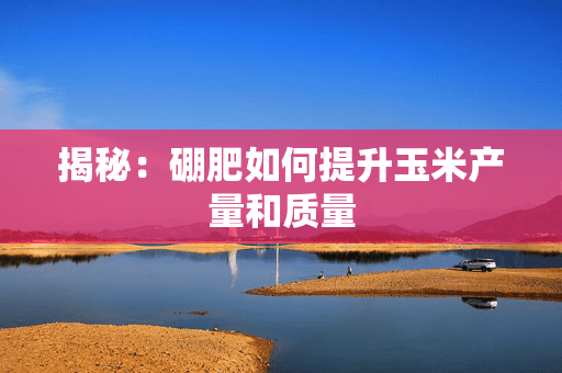 揭秘：硼肥如何提升玉米产量和质量