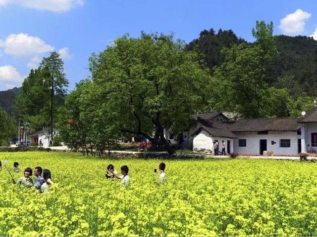 商洛7条春季乡村休闲旅游精品线路发布，串点成线打造“美丽经济”