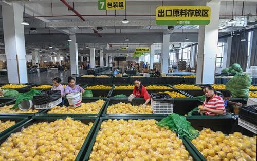 重庆冷链物流布局“三足鼎立”，如何下活这盘棋？