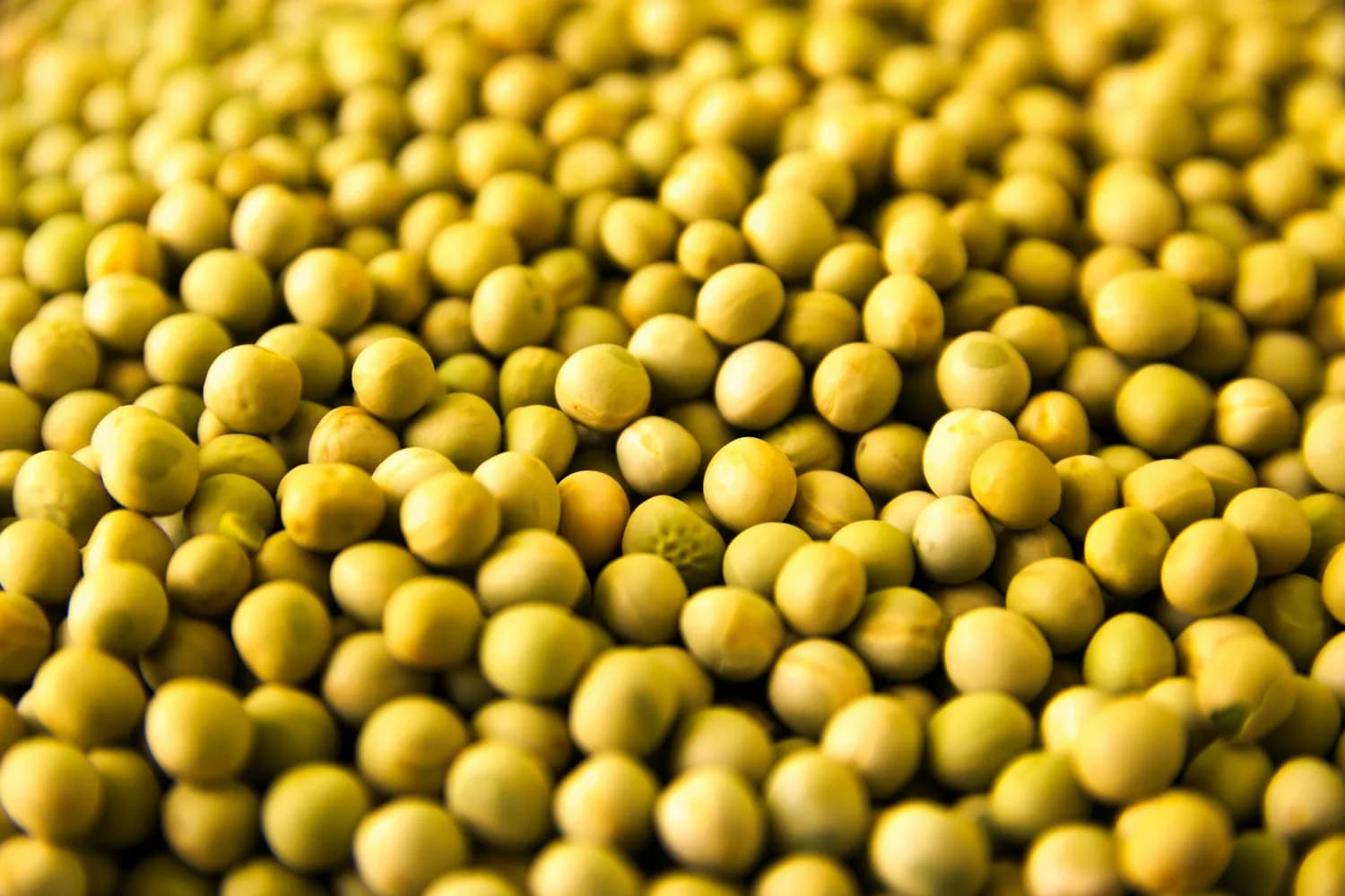 最新研究：每天多食100克豆制品，癌症风险降低23%