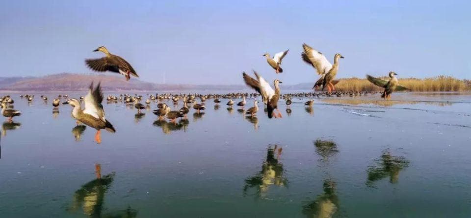 淄博7大景区入选山东生态旅游体验季，4大主题玩法带你玩转秋季