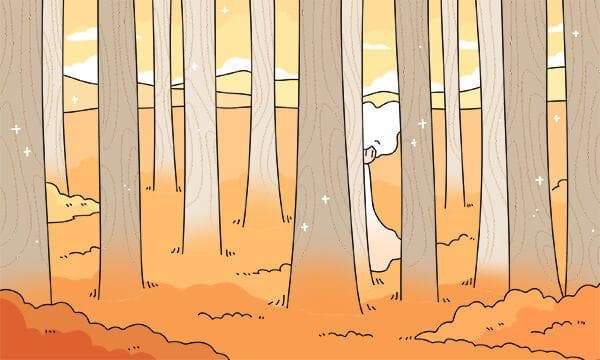 自动化专业大学排名最新：哪所高校办学实力强？