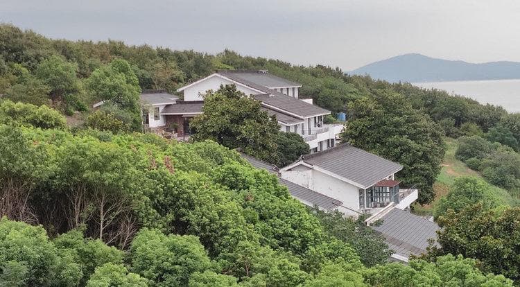 坐月子期间可以吃阿胶吗？